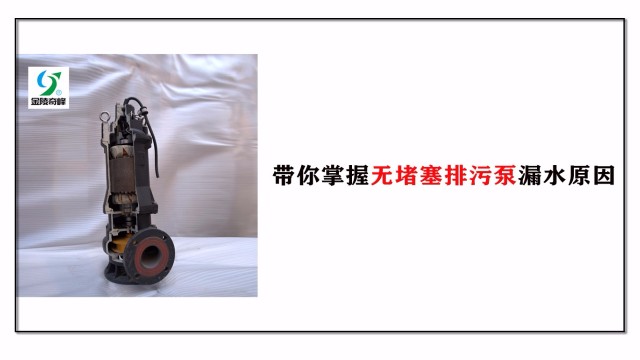 帶你掌握無(wú)堵塞排污泵漏水原因